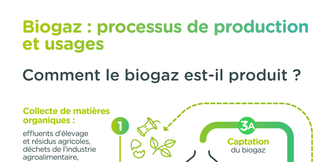 Infographie "Biogaz : processus de production et usages"
