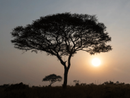 COP29: TotalEnergies, bp, Equinor and Shell join forces to help increase access to energy