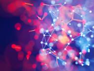 Total and its Partners Release Next-Generation & Open-Source Geological Carbon Dioxide Storage Simulator