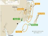 Indonesia: Total starts production at South Mahakam ahead of schedule
