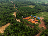 TotalEnergies Invests in Sustainable Forestry in Southeast Asia