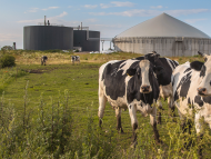 TotalEnergies et la FNSEA s’associent pour accompagner la transition énergétique du monde agricole