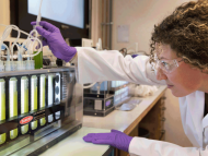 TotalEnergies and Veolia Join Forces to Develop CO2-based Microalgae Cultivation to Produce Next-generation Biofuels