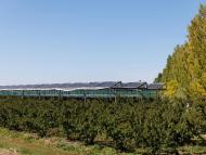 Salon de l'Agriculture : TotalEnergies et InVivo renforcent leur partenariat pour la transition énergétique du monde agricole