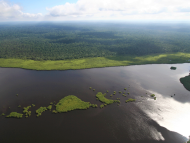Gabon: TotalEnergies and Compagnie des Bois du Gabon Join Forces to Develop a New Forest Management Model Combining Wood Production and Carbon Sinks