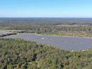 TotalEnergies Launches Its Largest Solar Power Plant in France