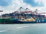 Total Realizes France's First Ship-to-Containership LNG Bunkering Operation, after Inaugural Loading at Dunkirk LNG terminal