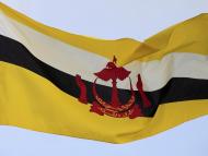 TotalEnergies sells its subsidiary in Brunei