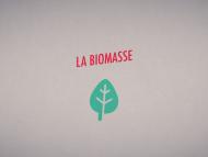 La biomasse