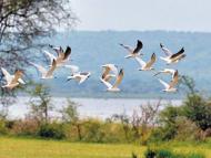 brochure biodiversité 2021