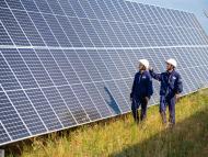 Employees at a solar farm