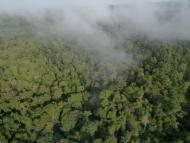 Women's empowerment approach within indigeneous communities