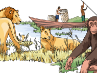 Infographics Uganda: The Four Pillars of the Tilenga Biodiversity Program - Learn out more