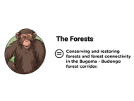 Infographics Pillar 4: The Forests - Learn out more