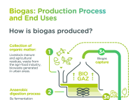 "Biogas: Production Process and End Uses" infographics