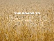 The roads to carbon neutral