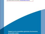 AMF Rapport sur les AG 