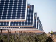 Total Ramps Up Renewables