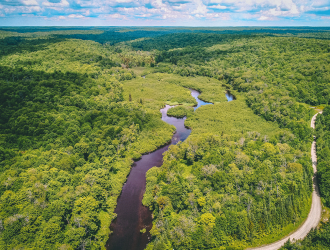 United States: TotalEnergies Invests in Sustainable Forestry Operations to Preserve Sustainable Carbon Sinks