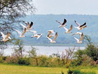 brochure biodiversité 2021