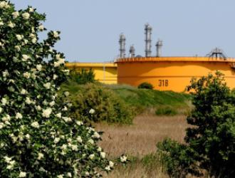 TotalEnergies Plateforme Zeeland Refinery