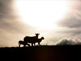 Centrale de valorisation du biogaz- Biogas upgrading plant