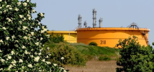 TotalEnergies Plateforme Zeeland Refinery