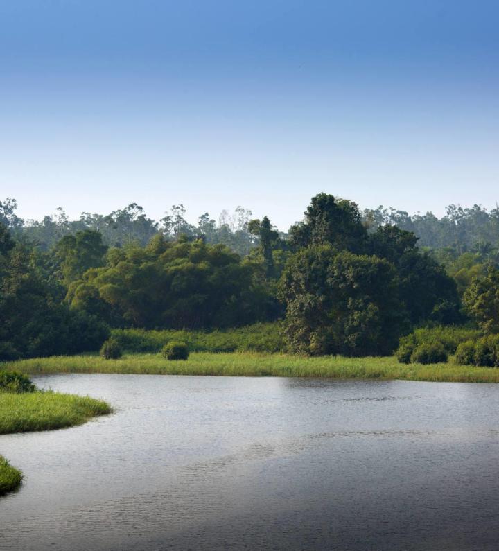 Fleuve Bakuilou, Région du Kuilou