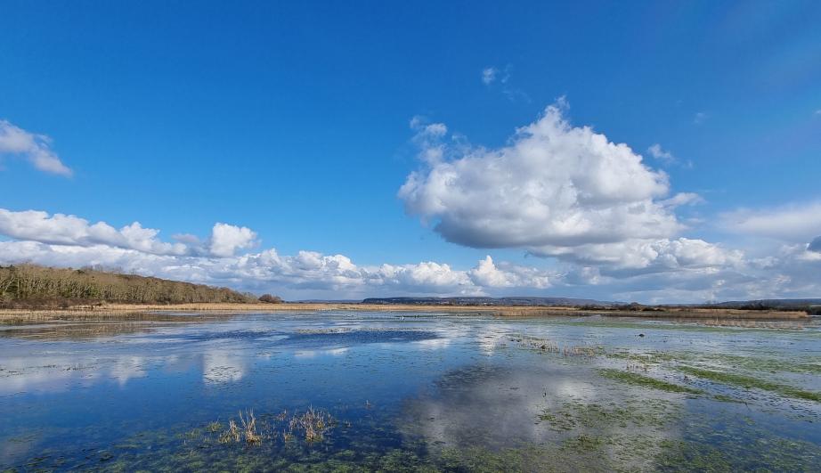 Landscape with stream and blue sky - see detailed description hereafter