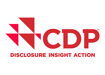 CDP - Disclosure insight action