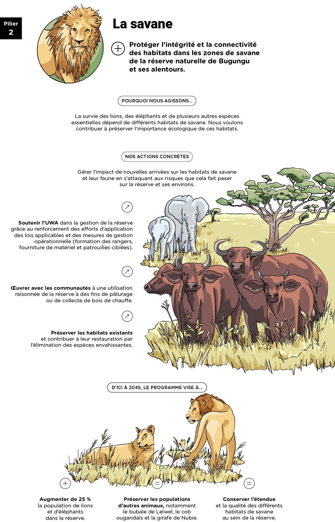 Infographie « Pilier 2 : la savane » - voir description détaillée ci-après
