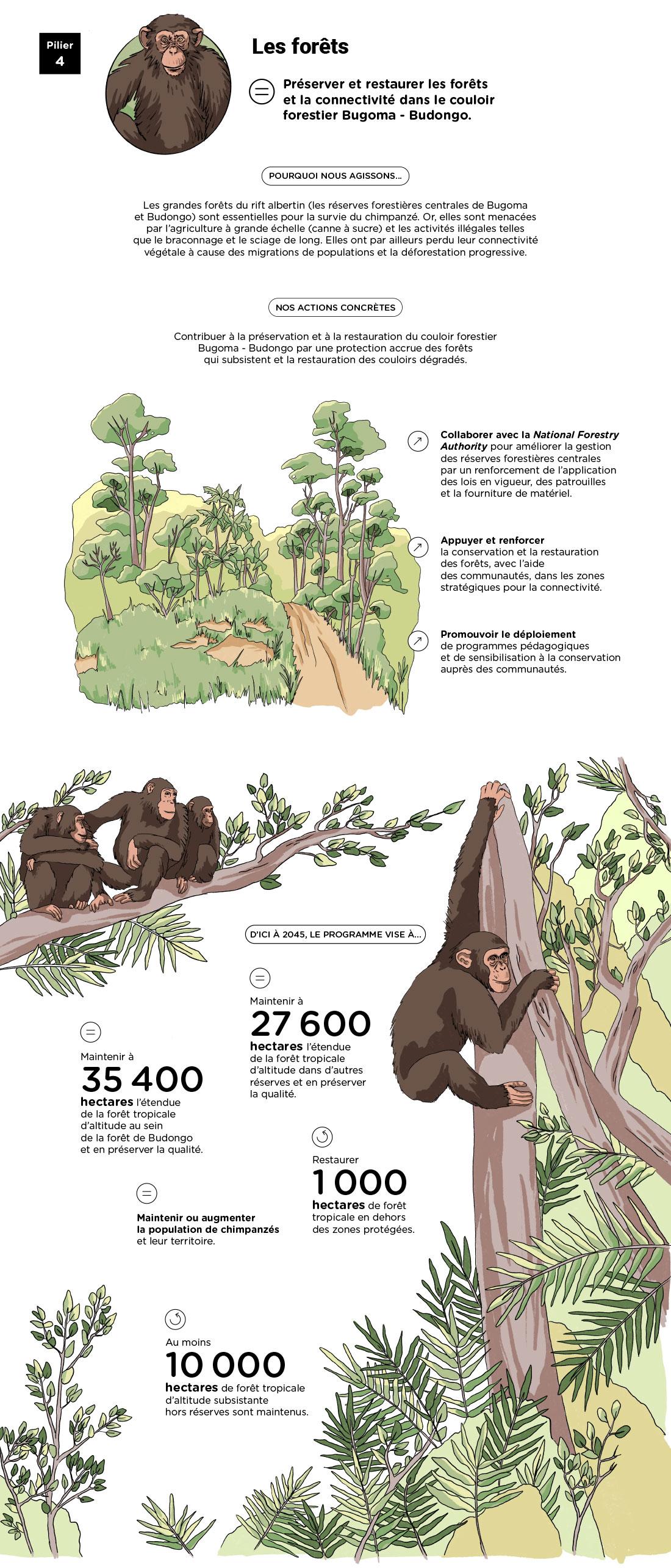 Infographie « Pilier 4 : les forêts » - voir description détaillée ci-après